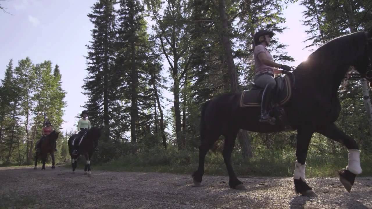 The Iconic Kestrel Ridge Farm in Calgary, Canada