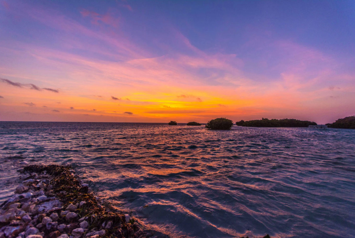 ROYAL PALM ISLAND | An Idyllic Private Island For Sale in Belize • Presented by Bernard Corcos, Chairman & CEO Finest International | Selected by Finest Residences