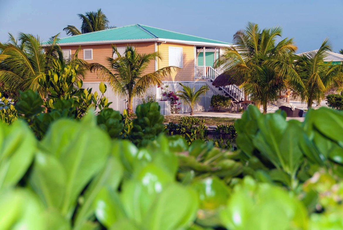 ROYAL PALM ISLAND | An Idyllic Private Island For Sale in Belize • Presented by Bernard Corcos, Chairman & CEO Finest International | Selected by Finest Residences