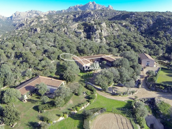 Fabulous Eco-Friendly Resort in Sardinia For Sale • Tirelli and Partners | FINEST RESIDENCES