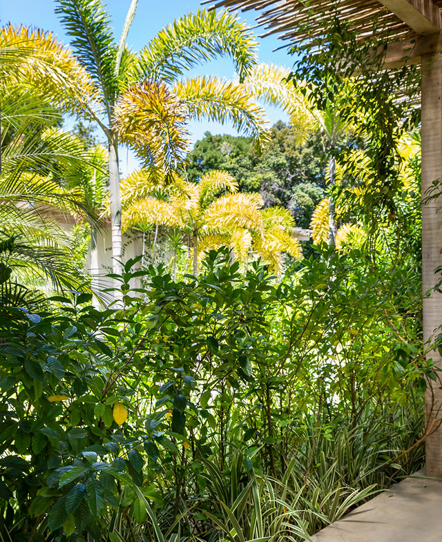 Luxury Condo Rental in Trancoso, Bahia, Brazil | Finest Residences