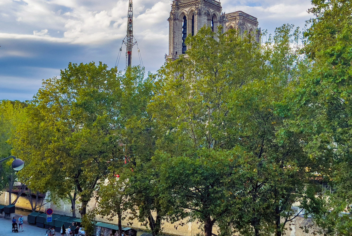 Prestigious Apartment For Sale, Facing Notre-Dame Cathedral and Paris 2024 Olympics | Finest International | Finest Residences