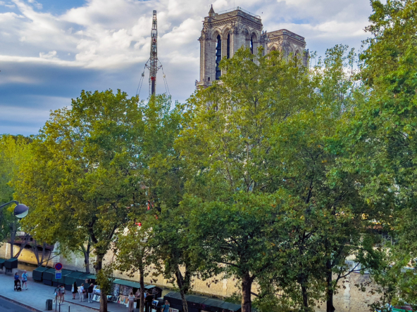 Prestigious Apartment For Sale, Facing Notre-Dame Cathedral and Paris 2024 Olympics | Finest International | Finest Residences